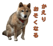 796988760