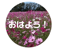 797001933