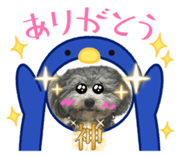 797002737