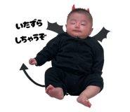 797011690