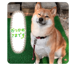 797015670