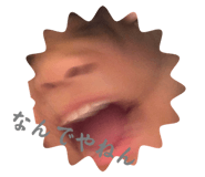 797020673
