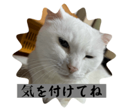 797020680