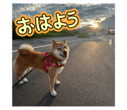 797031050