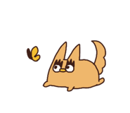 797032295