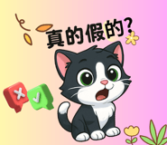 797044241