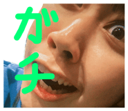797047384