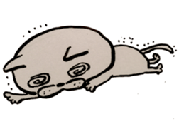 7970562