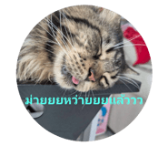 797058410