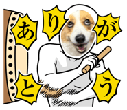 797070427