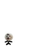 797070439