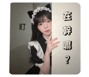 797088010