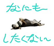 797101116