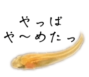 797107230