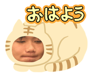 797118374