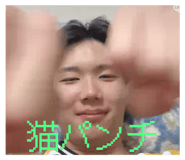797118377