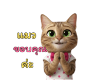 797133083