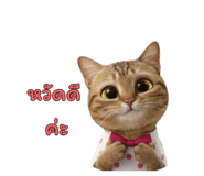 797133084
