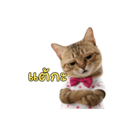 797133089