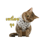 797133092