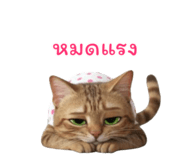 797133093