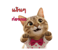 797133102