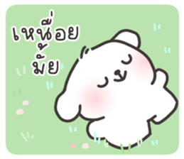 คอตตอนบ๊อก 3 รูปที่ 3