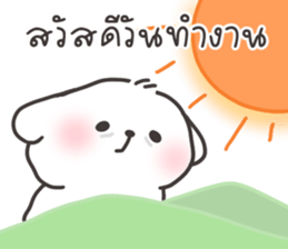 คอตตอนบ๊อก 3 รูปที่ 17