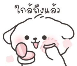 คอตตอนบ๊อก 3 รูปที่ 23