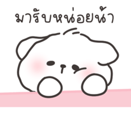 คอตตอนบ๊อก 3 รูปที่ 25