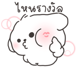 คอตตอนบ๊อก 3 รูปที่ 32