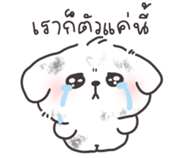 คอตตอนบ๊อก 3 รูปที่ 38