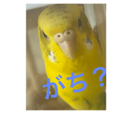 797134220