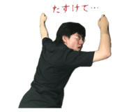 797137273