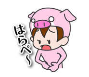 79713825