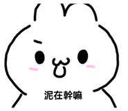 797146164