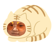 797146869