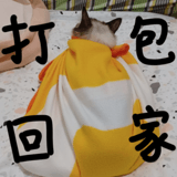 797149859