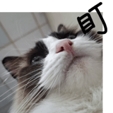 797149861
