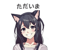 797155587