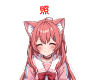 797155597