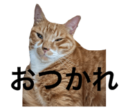 797166500