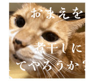 797166517