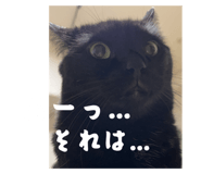 797166520