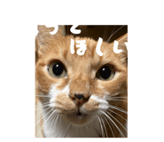 797166527
