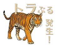 797172338