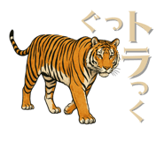 797172339