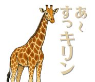 797172341