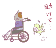 797176139