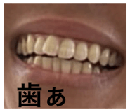 797195526